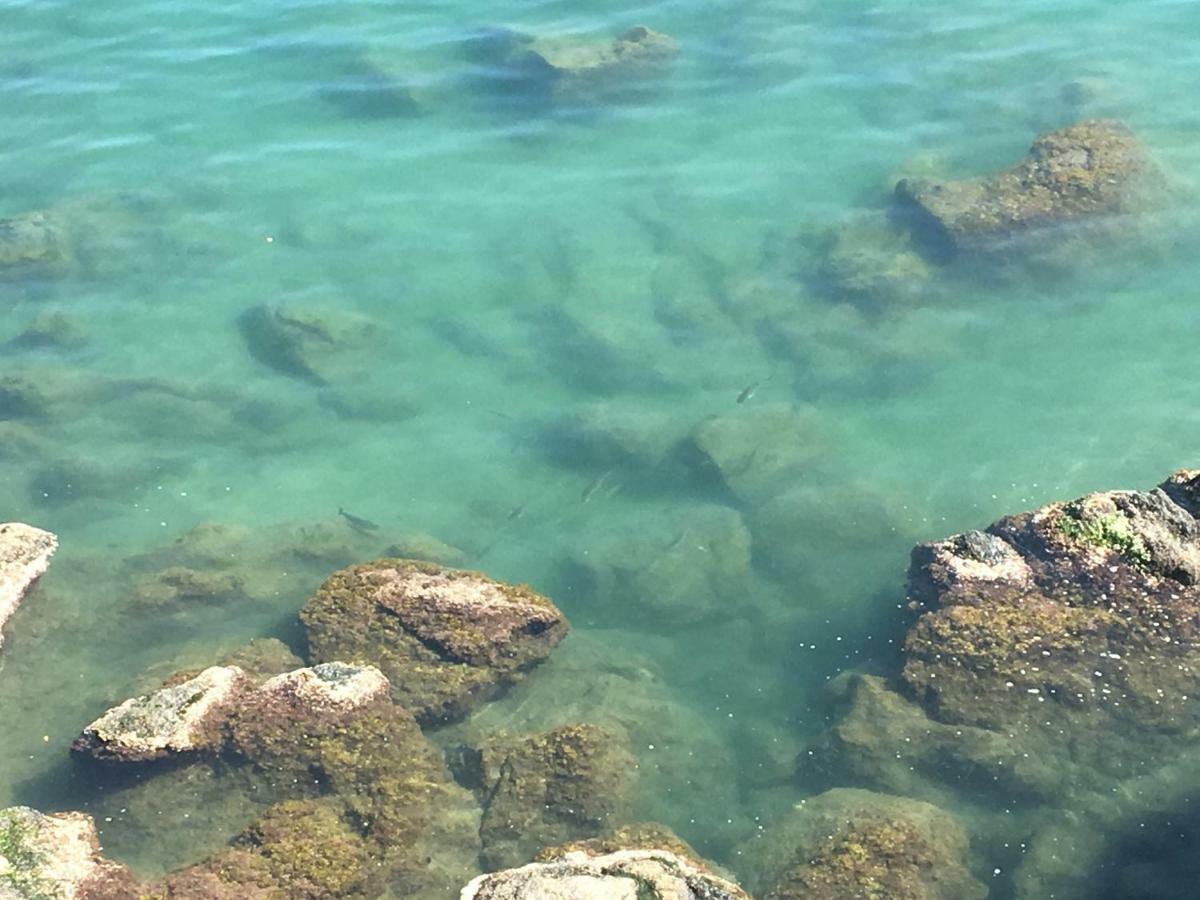La Casetta Di Dory Sul Mare Genua Exterior foto